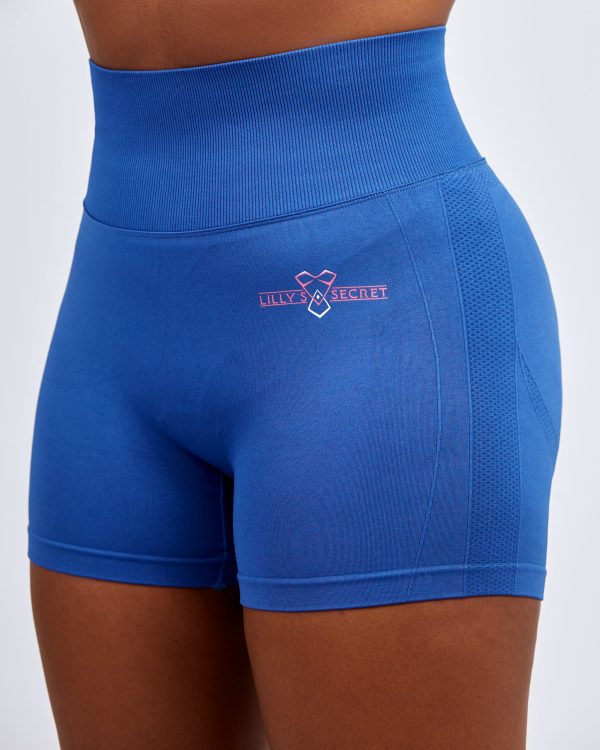 LILLY’S SECRET BIKER SHORTS