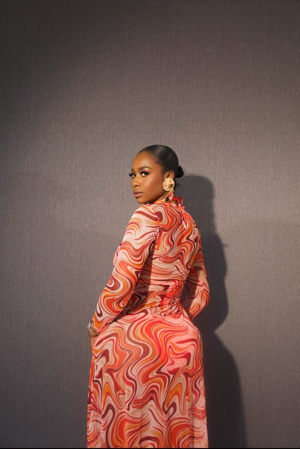 AMBER MESH DRESS - Image 4