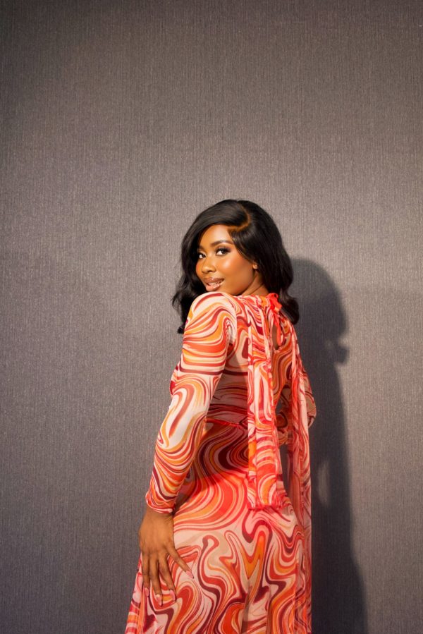 AMBER MESH DRESS - Image 5